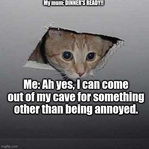 Ceiling Cat | My mum: DINNER'S READY!! Me: Ah yes, I can come out of my cave for something other than being annoyed. | image tagged in memes,ceiling cat | made w/ Imgflip meme maker