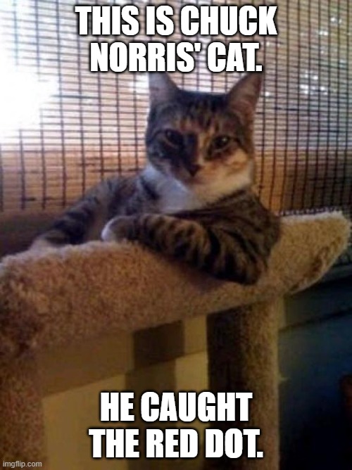The Most Interesting Cat In The World Meme | THIS IS CHUCK NORRIS' CAT. HE CAUGHT THE RED DOT. | image tagged in memes,the most interesting cat in the world | made w/ Imgflip meme maker