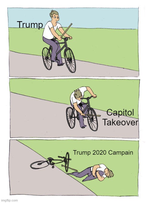 Capitol Storming | Trump; Capitol Takeover; Trump 2020 Campain | image tagged in memes,bike fall | made w/ Imgflip meme maker