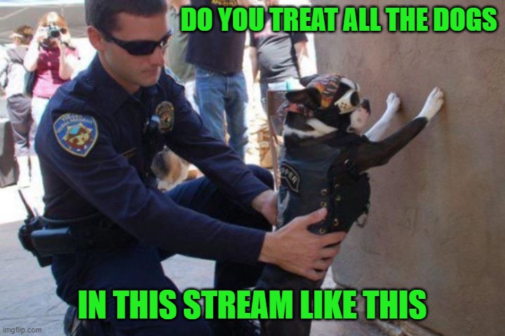 Can I get a break? | DO YOU TREAT ALL THE DOGS; IN THIS STREAM LIKE THIS | image tagged in dog shakedown,dogs,busted | made w/ Imgflip meme maker