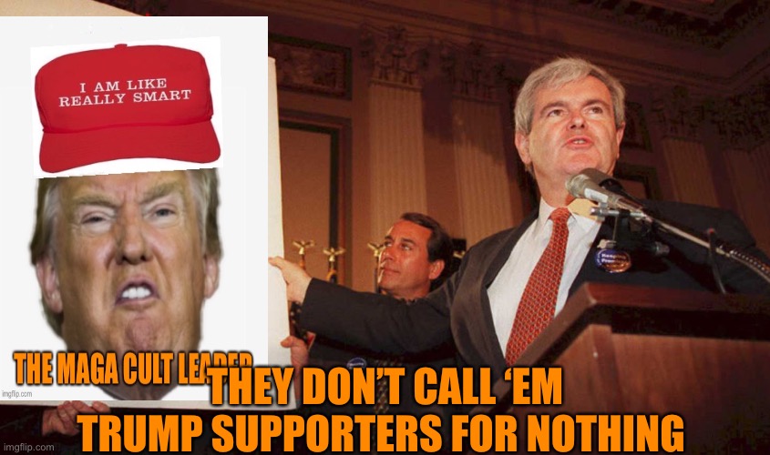 Newt Gingrich Contract tith America | THEY DON’T CALL ‘EM TRUMP SUPPORTERS FOR NOTHING | image tagged in newt gingrich contract tith america | made w/ Imgflip meme maker