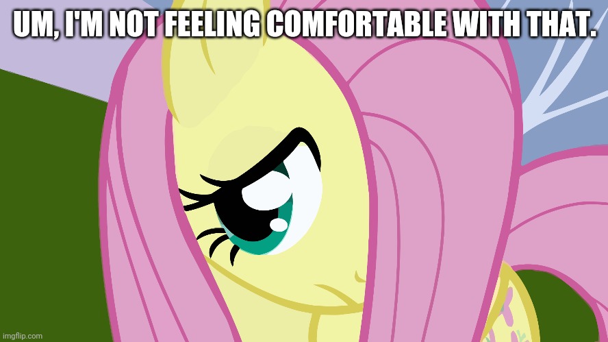 Fluttershy Is Very Cute (MLP) | UM, I'M NOT FEELING COMFORTABLE WITH THAT. | image tagged in fluttershy is very cute mlp | made w/ Imgflip meme maker