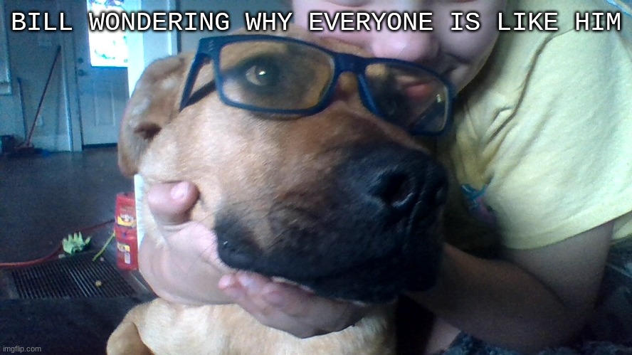 glasses dog | BILL WONDERING WHY EVERYONE IS LIKE HIM | image tagged in glasses dog | made w/ Imgflip meme maker