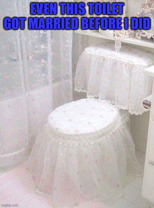 Seriously...who does this? | EVEN THIS TOILET GOT MARRIED BEFORE I DID | image tagged in fancy toilet,marriage | made w/ Imgflip meme maker