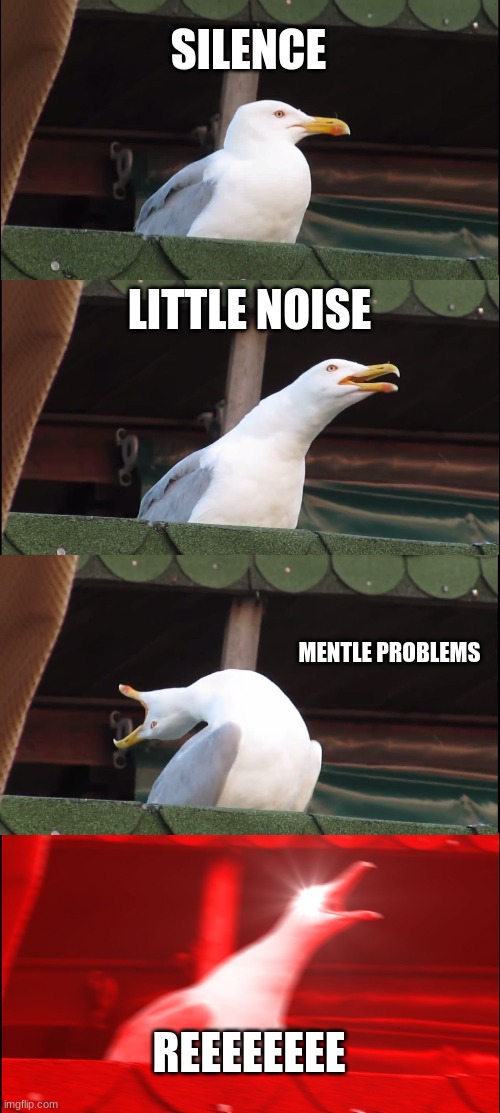 seagull be like | SILENCE; LITTLE NOISE; MENTLE PROBLEMS; REEEEEEEE | image tagged in memes,inhaling seagull | made w/ Imgflip meme maker