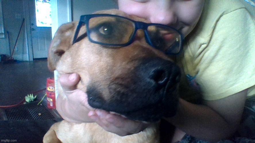 glasses dog | image tagged in glasses dog | made w/ Imgflip meme maker