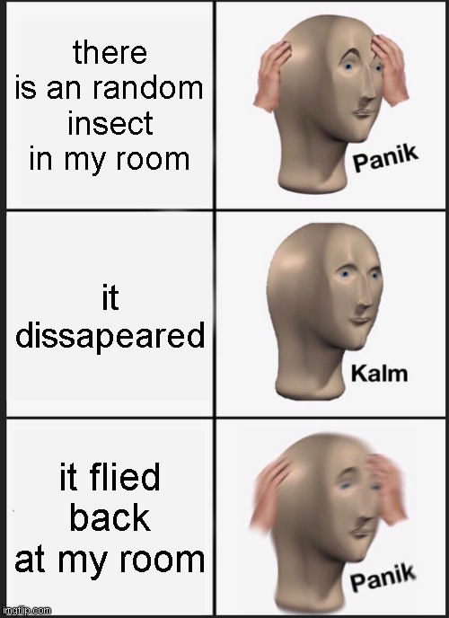 frick | there is an random insect in my room; it dissapeared; it flied back at my room | image tagged in memes,panik kalm panik | made w/ Imgflip meme maker