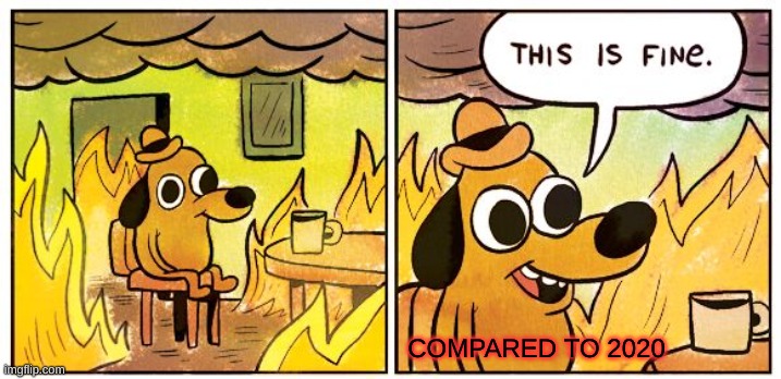 This Is Fine | COMPARED TO 2020 | image tagged in memes,this is fine | made w/ Imgflip meme maker