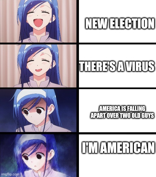 anime meme! | NEW ELECTION; THERE'S A VIRUS; AMERICA IS FALLING APART OVER TWO OLD GUYS; I'M AMERICAN | image tagged in anime meme | made w/ Imgflip meme maker