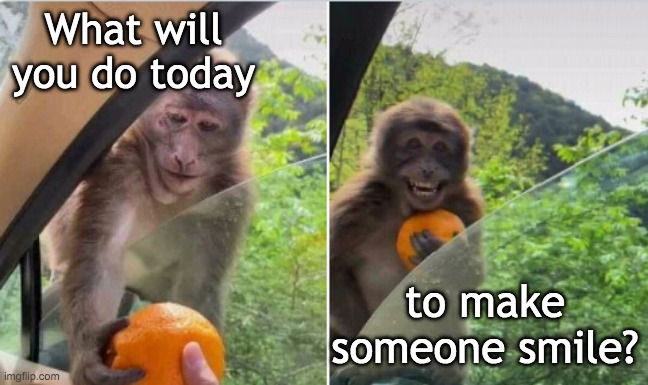 Doing good feels good | What will you do today; to make someone smile? | image tagged in share,monkey,treat,good | made w/ Imgflip meme maker