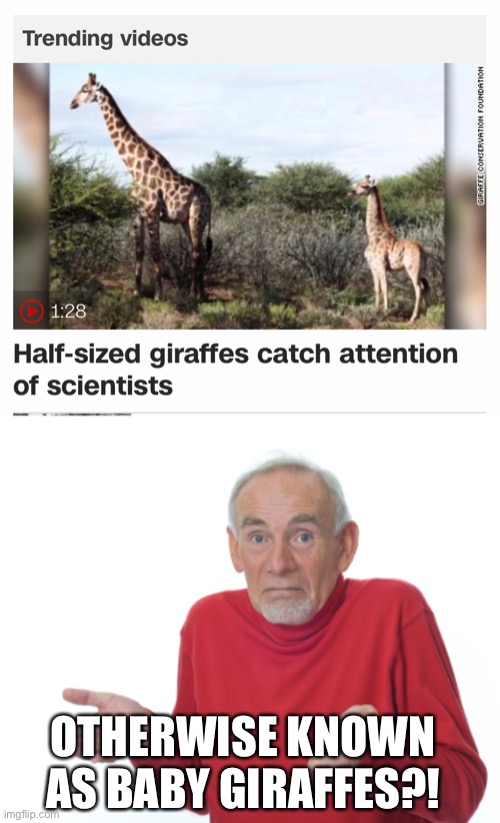 OTHERWISE KNOWN AS BABY GIRAFFES?! | image tagged in guess i'll die,memes | made w/ Imgflip meme maker
