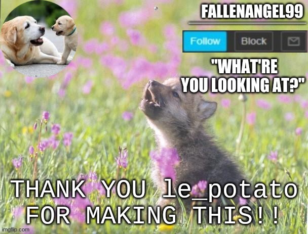 THANKS le_potato | THANK YOU le_potato FOR MAKING THIS!! | image tagged in thanks | made w/ Imgflip meme maker