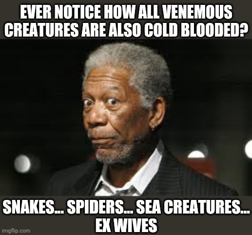 morgan freeman facts | EVER NOTICE HOW ALL VENEMOUS CREATURES ARE ALSO COLD BLOODED? SNAKES... SPIDERS... SEA CREATURES...
EX WIVES | image tagged in morgan freeman facts | made w/ Imgflip meme maker
