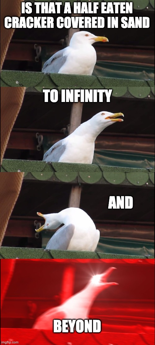 it is wat it is | IS THAT A HALF EATEN CRACKER COVERED IN SAND; TO INFINITY; AND; BEYOND | image tagged in memes,inhaling seagull | made w/ Imgflip meme maker