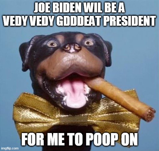 Triumph the Insult Comic Dog | JOE BIDEN WIL BE A VEDY VEDY GDDDEAT PRESIDENT; FOR ME TO POOP ON | image tagged in triumph the insult comic dog | made w/ Imgflip meme maker