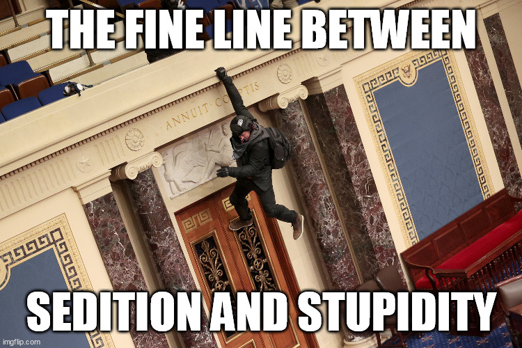 The fine line between sedition and stupidity | THE FINE LINE BETWEEN; SEDITION AND STUPIDITY | image tagged in trumper dangling in capitol | made w/ Imgflip meme maker