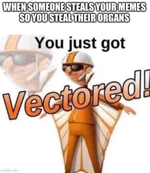 You just got vectored | WHEN SOMEONE STEALS YOUR MEMES
SO YOU STEAL THEIR ORGANS | image tagged in you just got vectored | made w/ Imgflip meme maker