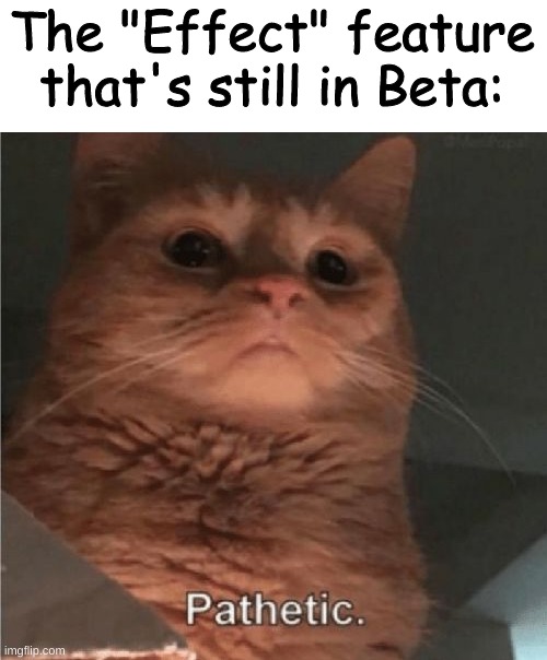 Pathetic Cat | The "Effect" feature that's still in Beta: | image tagged in pathetic cat | made w/ Imgflip meme maker