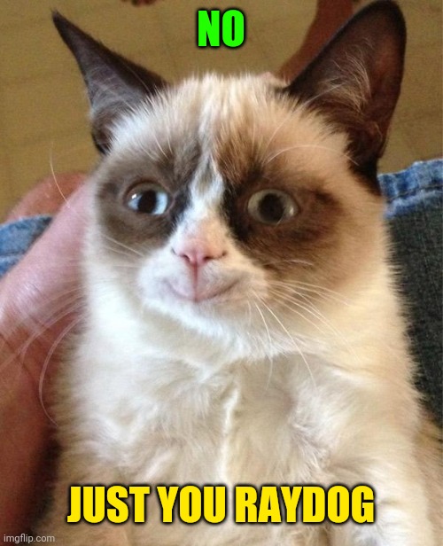 Grumpy Cat Happy Meme | NO JUST YOU RAYDOG | image tagged in memes,grumpy cat happy,grumpy cat | made w/ Imgflip meme maker