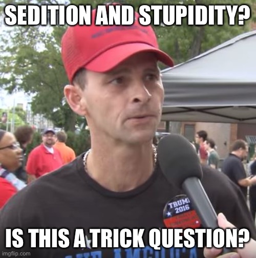Trump supporter | SEDITION AND STUPIDITY? IS THIS A TRICK QUESTION? | image tagged in trump supporter | made w/ Imgflip meme maker