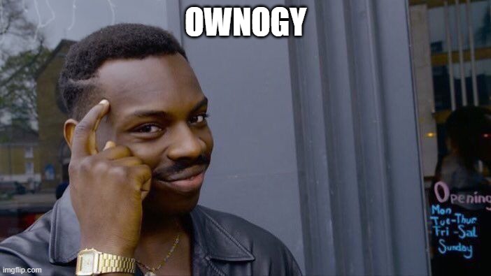 Roll Safe Think About It | OWNOGY | image tagged in memes,roll safe think about it | made w/ Imgflip meme maker