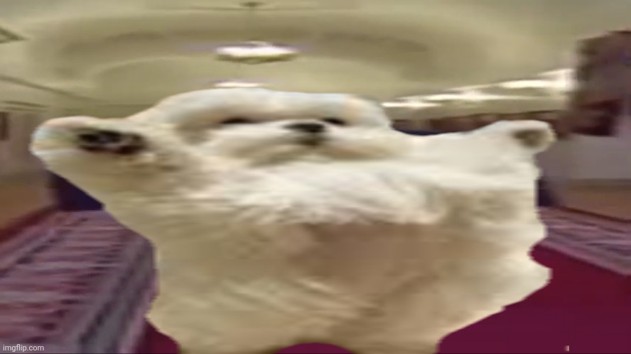 Wide doggo | made w/ Imgflip meme maker