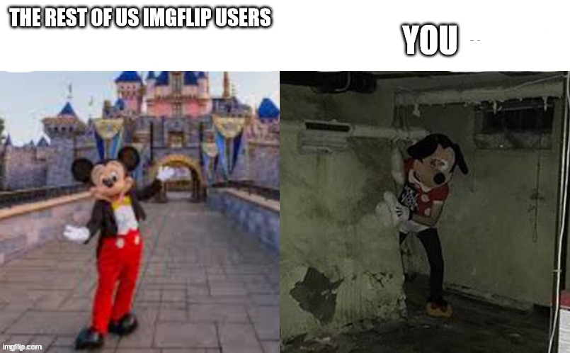 Rich mickey, Poor Mickey | THE REST OF US IMGFLIP USERS YOU | image tagged in rich mickey poor mickey | made w/ Imgflip meme maker