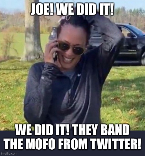 JOE! WE DID IT! WE DID IT! THEY BAND THE MOFO FROM TWITTER! | image tagged in trump banned from twitter,twitter banned trump | made w/ Imgflip meme maker