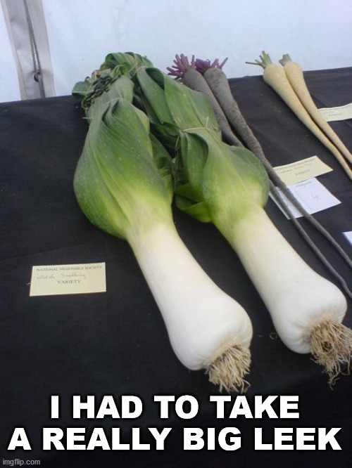 I HAD TO TAKE A REALLY BIG LEEK | image tagged in eyeroll | made w/ Imgflip meme maker