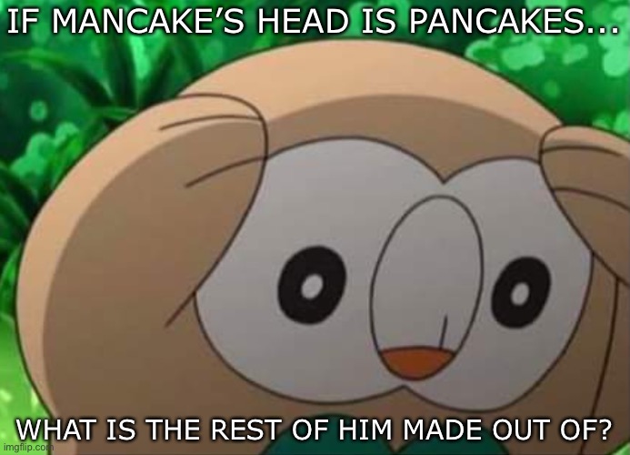 panicked rowlet | IF MANCAKE’S HEAD IS PANCAKES... WHAT IS THE REST OF HIM MADE OUT OF? | image tagged in panicked rowlet,fortnite memes,mancake,oh dear god | made w/ Imgflip meme maker