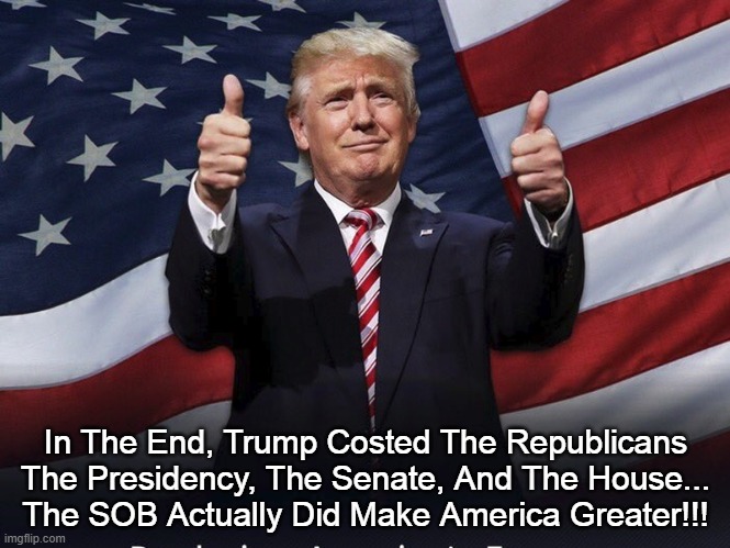 Trump Greater | In The End, Trump Costed The Republicans The Presidency, The Senate, And The House...
The SOB Actually Did Make America Greater!!! | image tagged in donald trump thumbs up | made w/ Imgflip meme maker