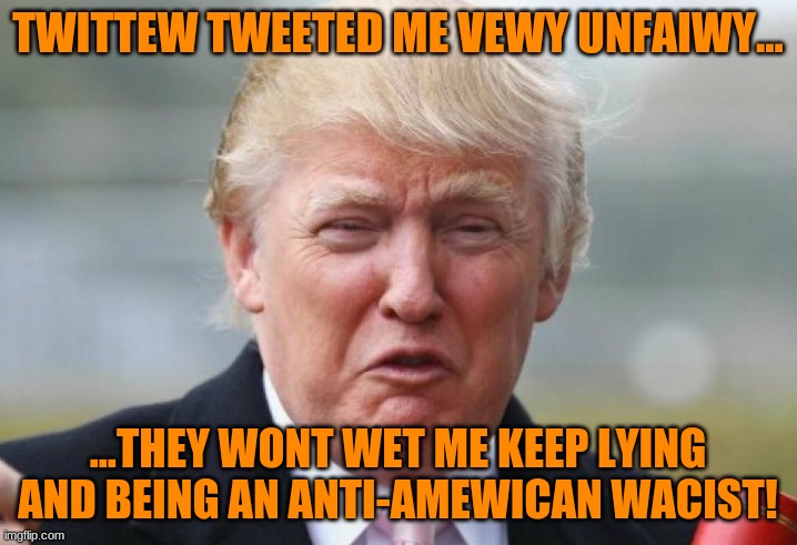 Trump Crybaby | TWITTEW TWEETED ME VEWY UNFAIWY... ...THEY WONT WET ME KEEP LYING AND BEING AN ANTI-AMEWICAN WACIST! | image tagged in trump crybaby | made w/ Imgflip meme maker