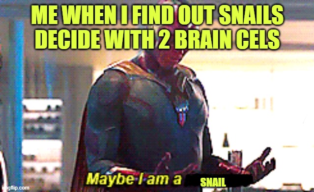 maybe im a snail |  ME WHEN I FIND OUT SNAILS DECIDE WITH 2 BRAIN CELS; SNAIL | image tagged in maybe i am a monster | made w/ Imgflip meme maker