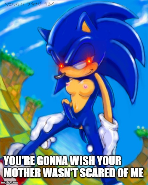YOU'RE GONNA WISH YOUR MOTHER WASN'T SCARED OF ME | image tagged in futa sonic | made w/ Imgflip meme maker