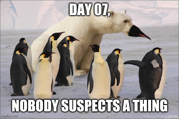 DAY 07, NOBODY SUSPECTS A THING | made w/ Imgflip meme maker