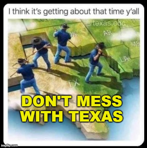 Don't Mess with Texas | DON'T MESS WITH TEXAS | image tagged in don't mess with texas | made w/ Imgflip meme maker