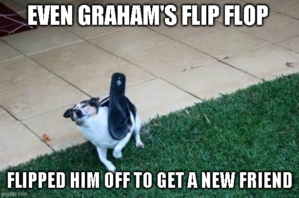 dog n flip flop | EVEN GRAHAM'S FLIP FLOP FLIPPED HIM OFF TO GET A NEW FRIEND | image tagged in dog n flip flop | made w/ Imgflip meme maker