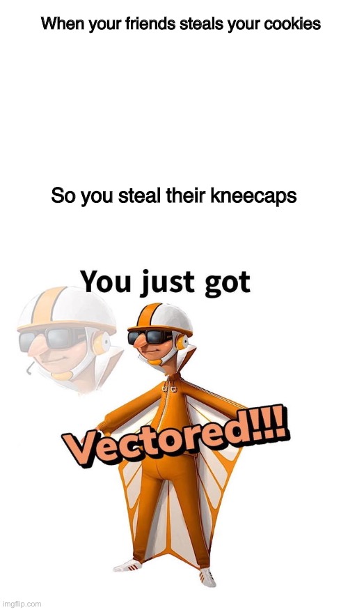 You got vectored! |  When your friends steals your cookies; So you steal their kneecaps | image tagged in blank white template,you just got vectored | made w/ Imgflip meme maker