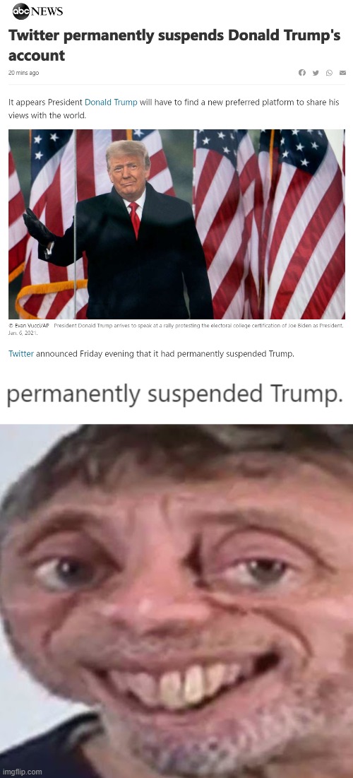Tl;dr noice | image tagged in twitter permabans trump,noice | made w/ Imgflip meme maker