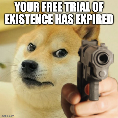 Ö | YOUR FREE TRIAL OF EXISTENCE HAS EXPIRED | image tagged in doge holding a gun | made w/ Imgflip meme maker