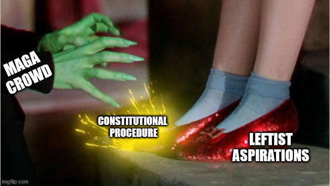 ruby slippers | MAGA CROWD; CONSTITUTIONAL 
PROCEDURE; LEFTIST ASPIRATIONS | image tagged in ruby slippers | made w/ Imgflip meme maker