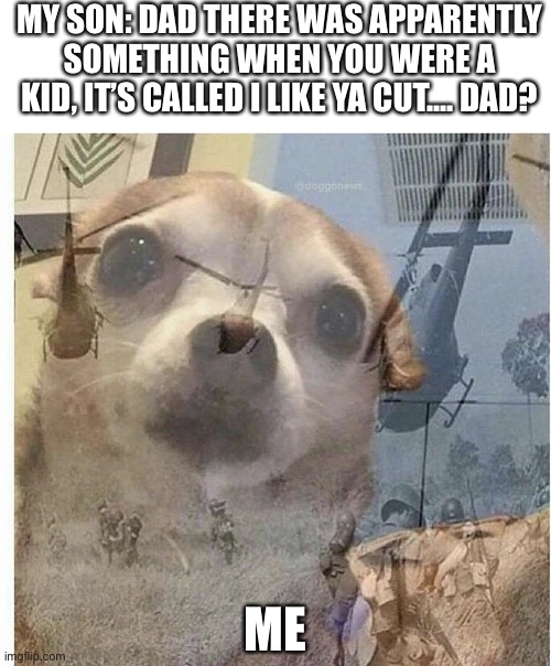 PTSD chihuahua | MY SON: DAD THERE WAS APPARENTLY SOMETHING WHEN YOU WERE A KID, IT’S CALLED I LIKE YA CUT.... DAD? ME | image tagged in ptsd chihuahua | made w/ Imgflip meme maker