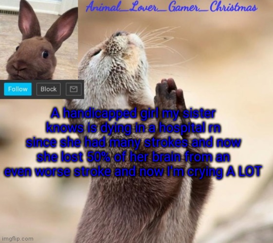 ........ | A handicapped girl my sister knows is dying in a hospital rn since she had many strokes and now she lost 50% of her brain from an even worse stroke and now I'm crying A LOT | image tagged in i_love_animals3 announcement template | made w/ Imgflip meme maker