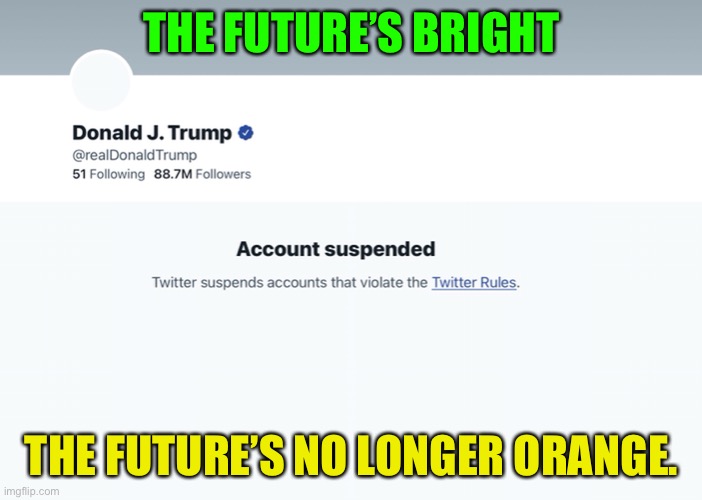 Trump suspended | THE FUTURE’S BRIGHT; THE FUTURE’S NO LONGER ORANGE. | image tagged in donald trump | made w/ Imgflip meme maker