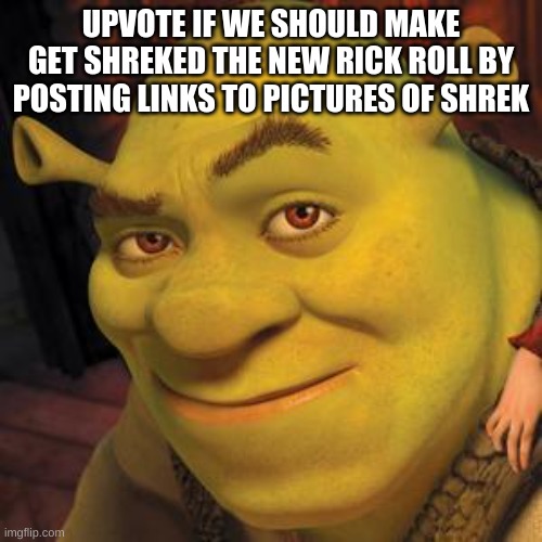 the new rick roll | UPVOTE IF WE SHOULD MAKE GET SHREKED THE NEW RICK ROLL BY POSTING LINKS TO PICTURES OF SHREK | image tagged in shrek sexy face | made w/ Imgflip meme maker