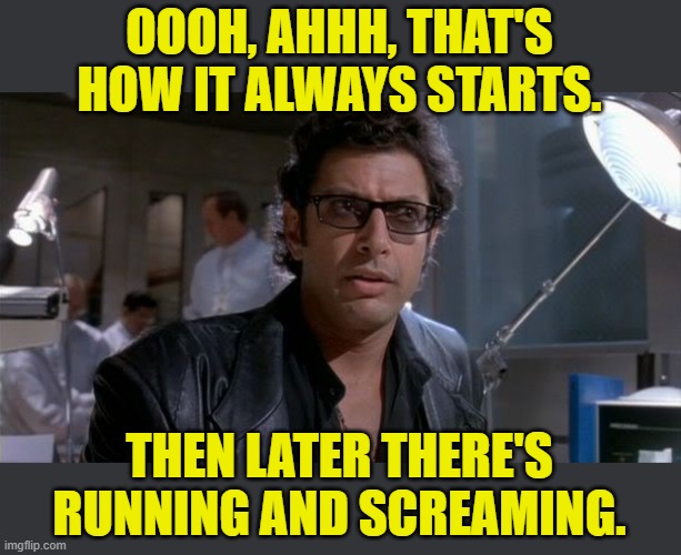 Ian Malcolm | OOOH, AHHH, THAT'S HOW IT ALWAYS STARTS. THEN LATER THERE'S RUNNING AND SCREAMING. | image tagged in ian malcolm | made w/ Imgflip meme maker