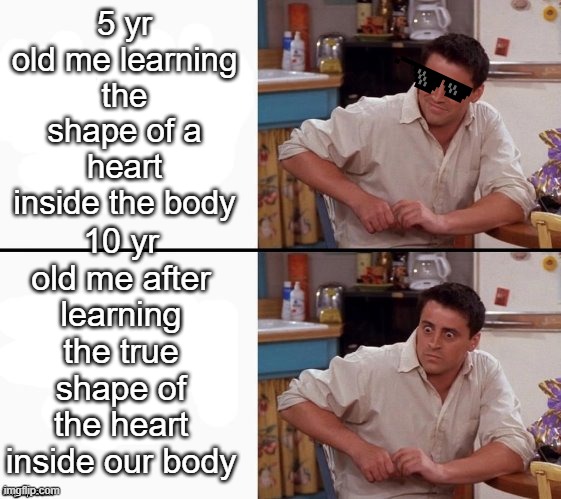 Comprehending Joey | 5 yr old me learning the shape of a heart inside the body; 10 yr old me after learning the true shape of the heart inside our body | image tagged in comprehending joey | made w/ Imgflip meme maker