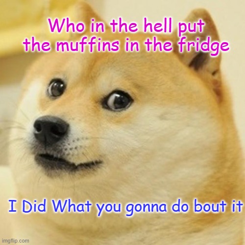 Doge | Who in the hell put the muffins in the fridge; I Did What you gonna do bout it | image tagged in memes,doge | made w/ Imgflip meme maker