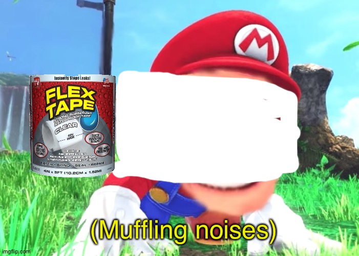 Mario screaming | (Muffling noises) | image tagged in mario screaming | made w/ Imgflip meme maker