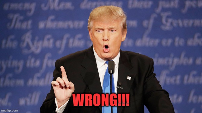Donald Trump Wrong | WRONG!!! | image tagged in donald trump wrong | made w/ Imgflip meme maker